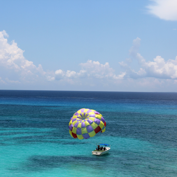 Parasail - Image 3