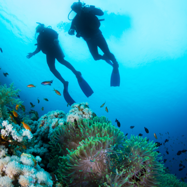 Buceo