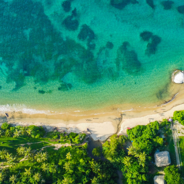 Tour a Palmarito Beach