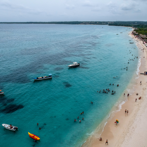 Tour 4 Islas