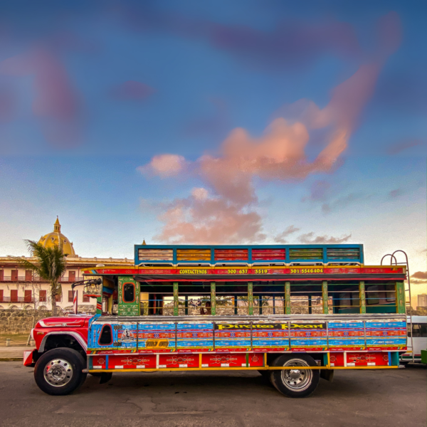 CITY TOUR HISTORICO PANORAMICO EN CHIVA – (SERVICIO COMPARTIDO)